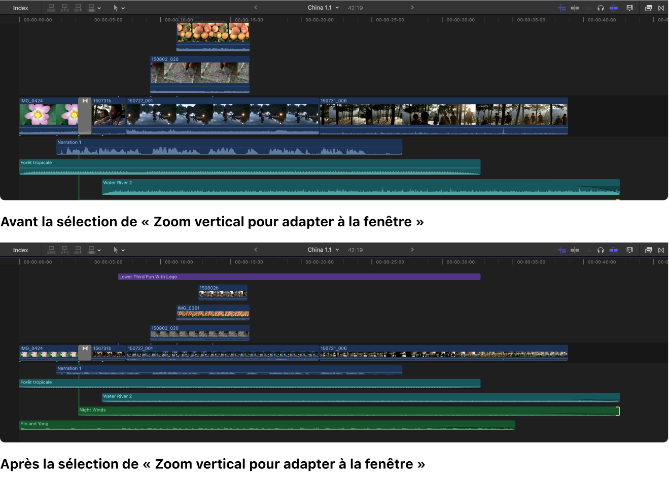 Timeline affichée avant et après la sélection de l’option « Zoom vertical pour adapter à la fenêtre »