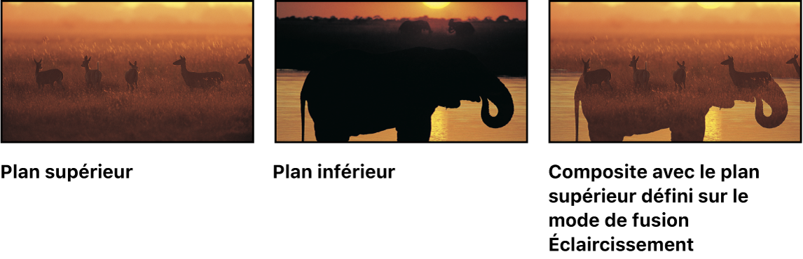 Exemple de fusion Éclaircir, avec deux images source et l’image fusionnée obtenue.