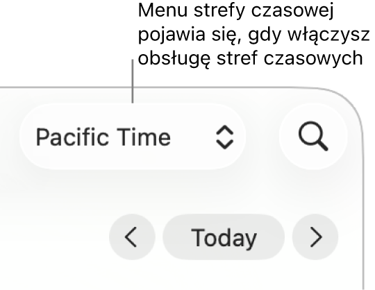 Menu strefy czasowej jest wyświetlane po lewej stronie pola wyszukiwania (jeśli włączysz obsługę stref czasowych).