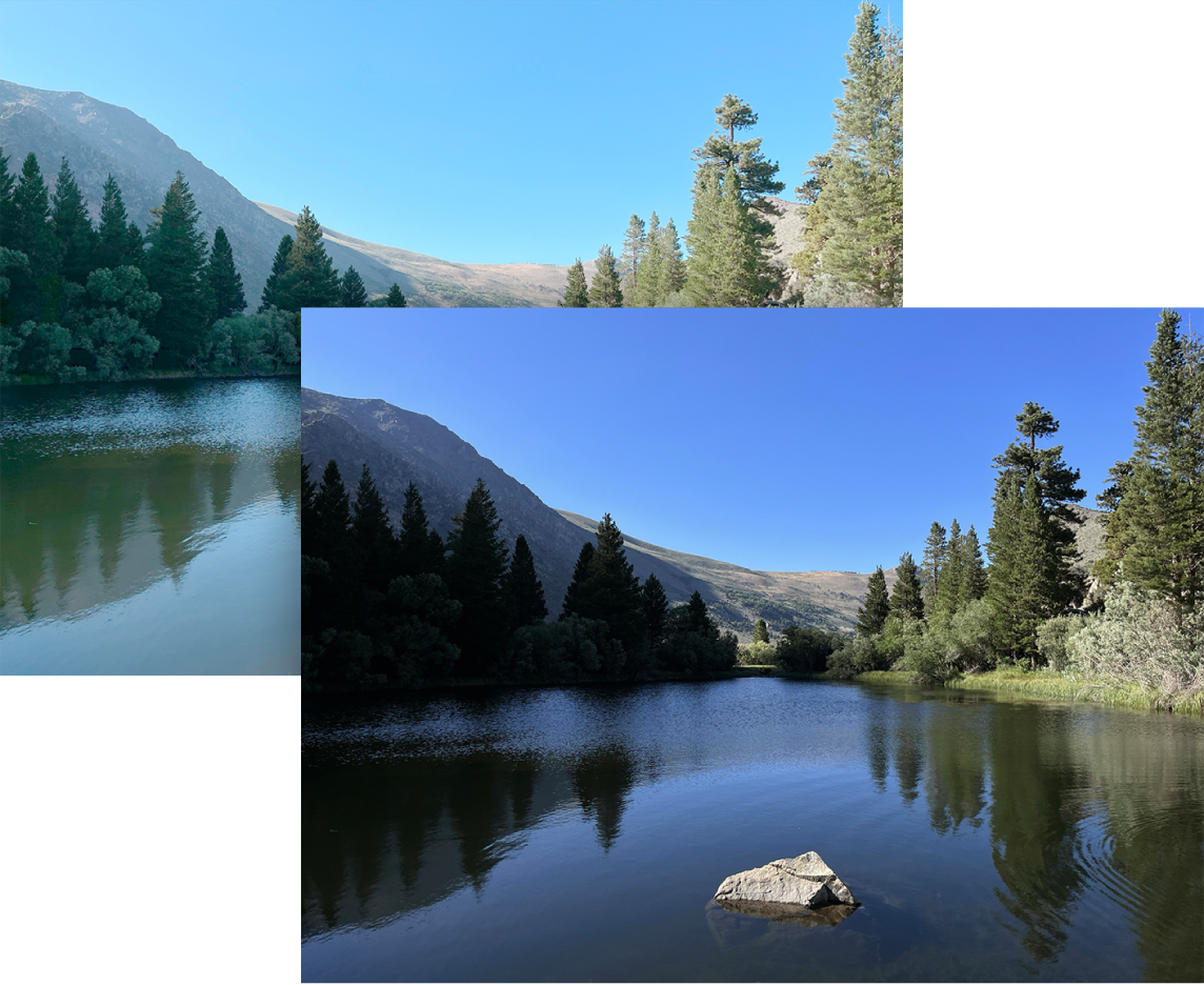 Une image dont le profil de couleurs est modifié à l’aide d’Utilitaire ColorSync.