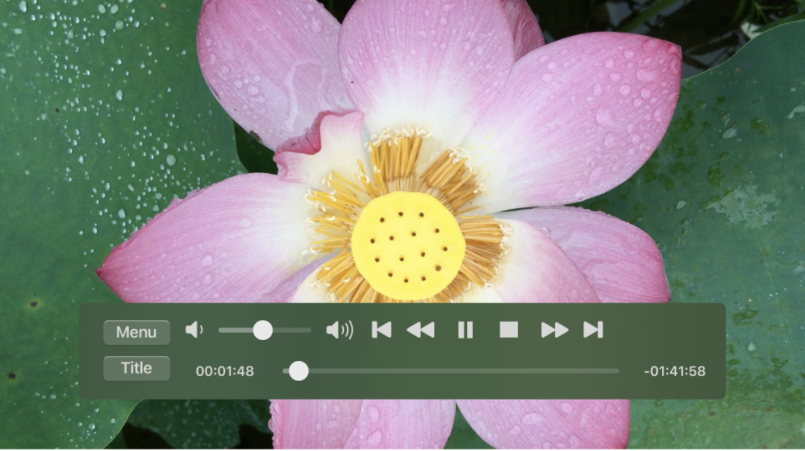 The DVD Player window with a DVD movie playing.