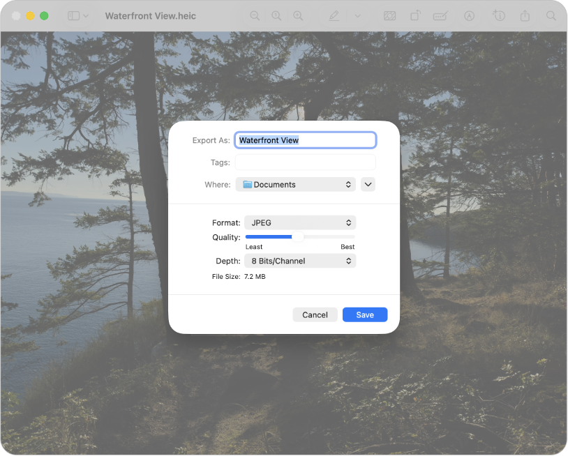 خيارات التصدير في المعاينة.