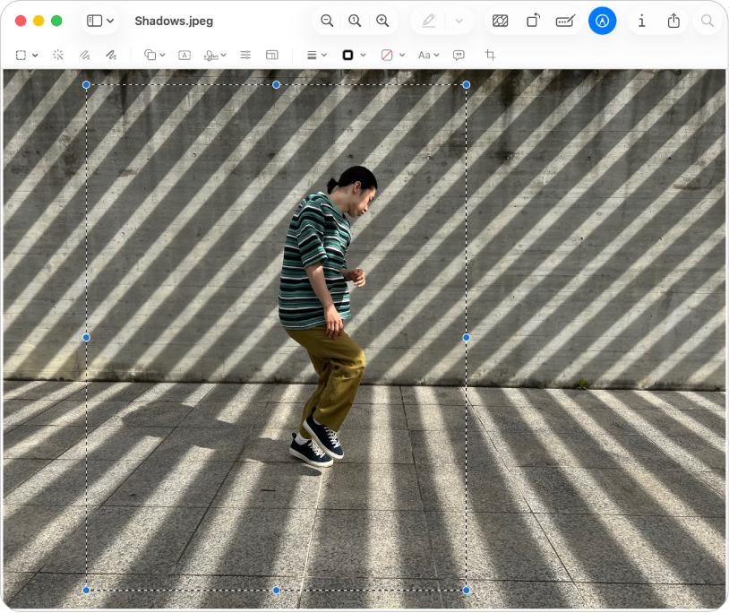 Ένα παράθυρο της Προεπισκόπησης το οποίο εμφανίζει μια εικόνα. Η περιοχή που περικόπτεται υποδεικνύεται με διάστικτες γραμμές και μπλε κουκκίδες.