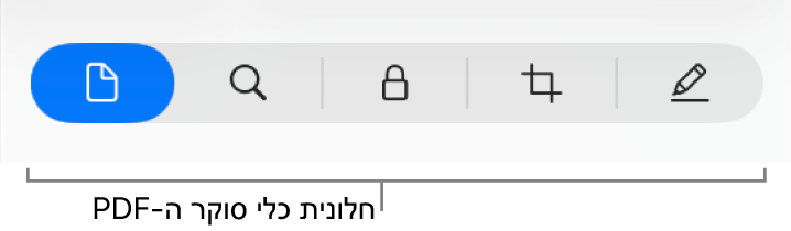 כלי סוקר של PDF.