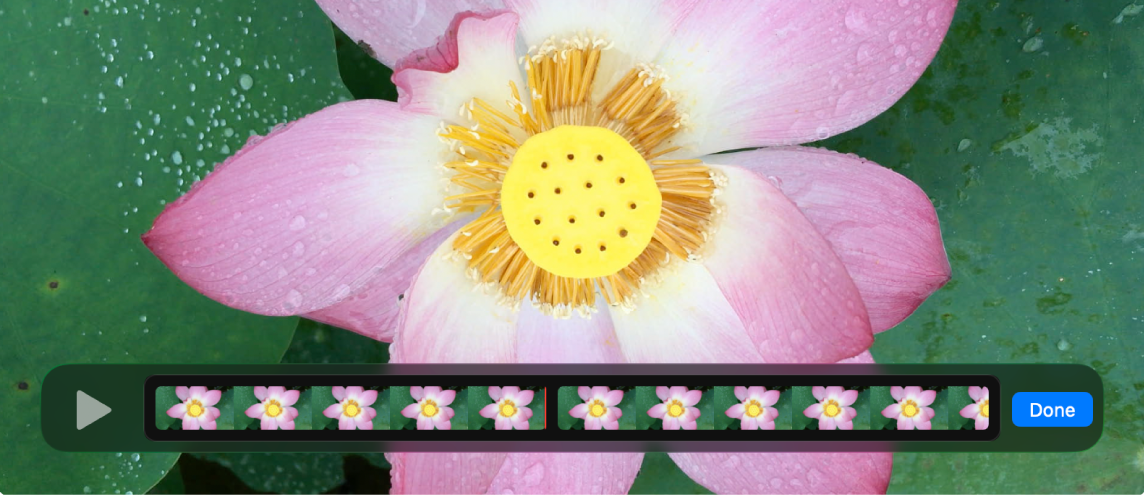 A movie is open with the clip editor showing at the bottom.