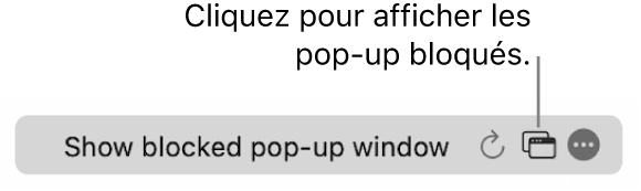 Le champ de recherche intelligente avec un bouton permettant d’afficher les pop-up bloqués.