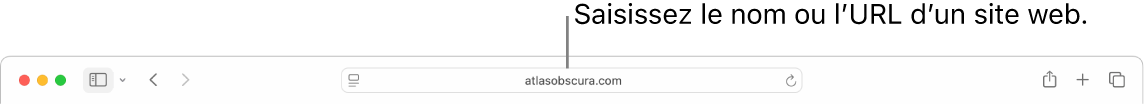 Le champ de recherche intelligente de Safari, dans lequel vous pouvez saisir le nom ou l’URL d’un site web.