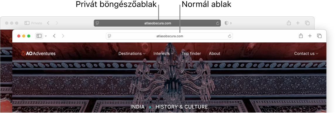 Egy privát Safari ablak, sötét intelligens keresési mezővel és egy normál Safari ablak, világos intelligens keresési mezővel.