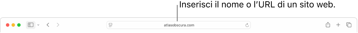 Il campo di ricerca smart di Safari, in cui puoi inserire il nome o l’URL di un sito web.