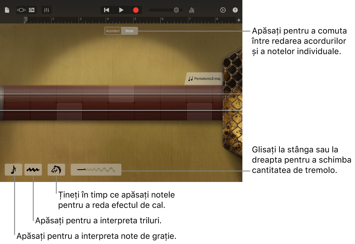 Erhu, în vizualizarea Note.