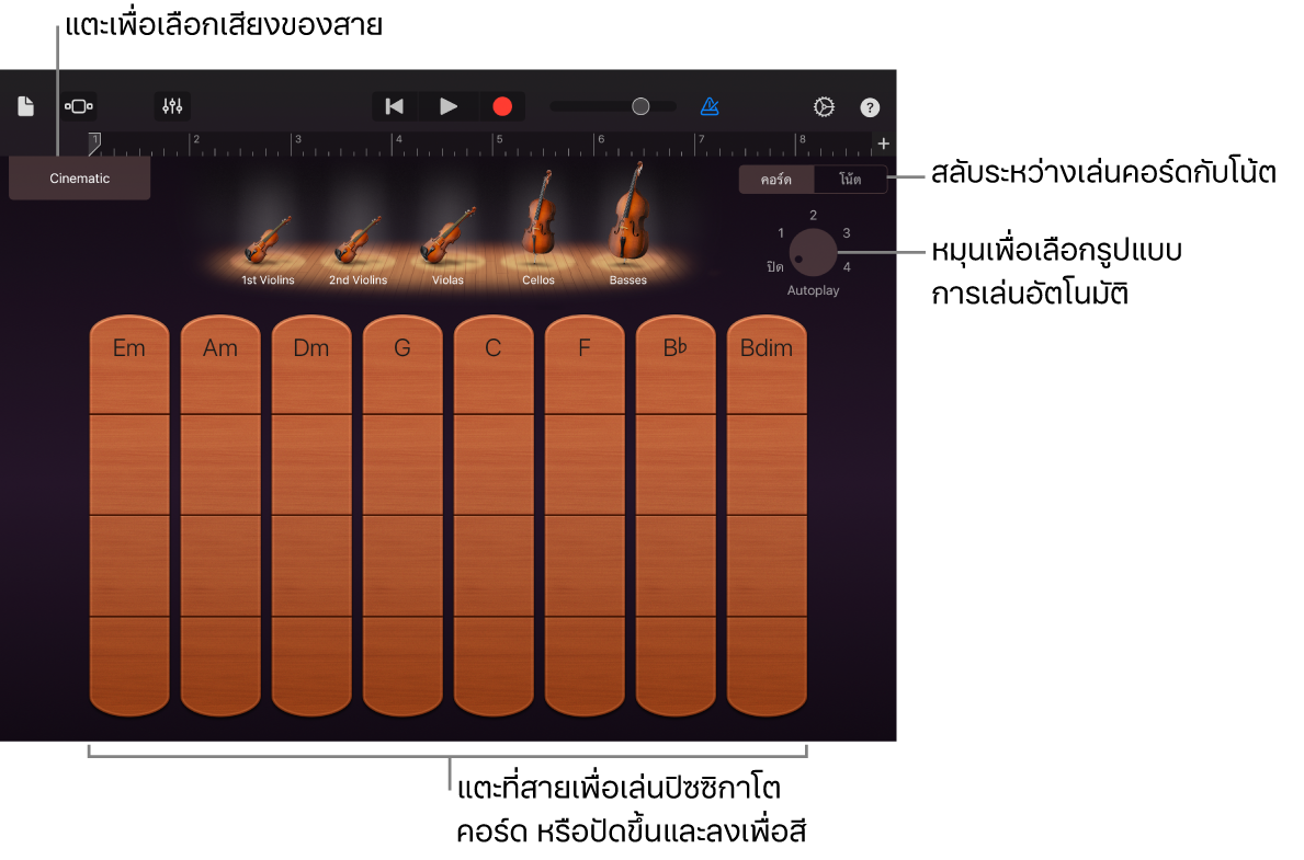 เครื่องดนตรีสัมผัสเครื่องสาย