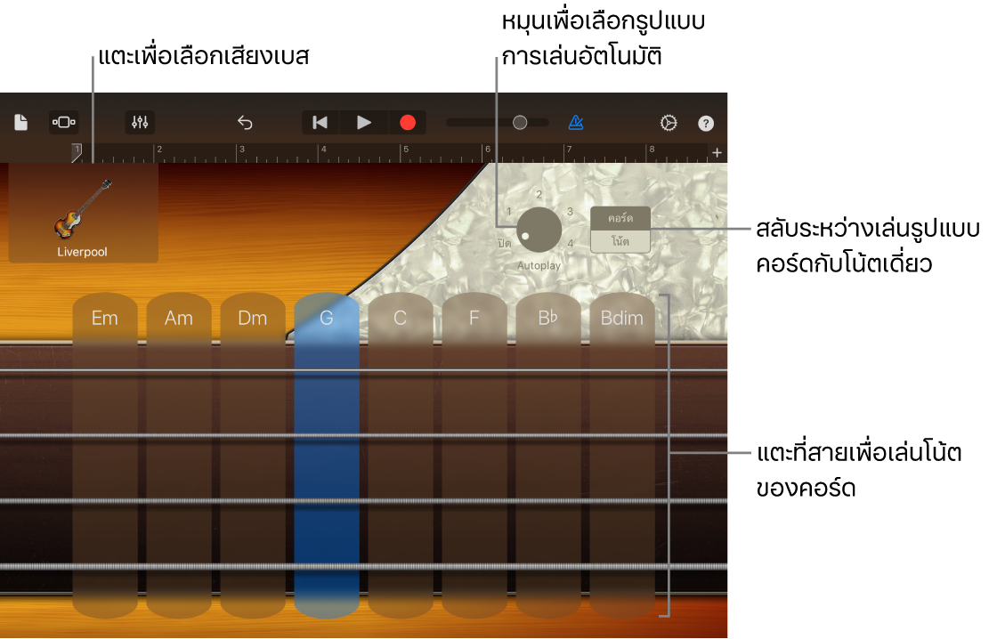 เครื่องดนตรีสัมผัสเบส
