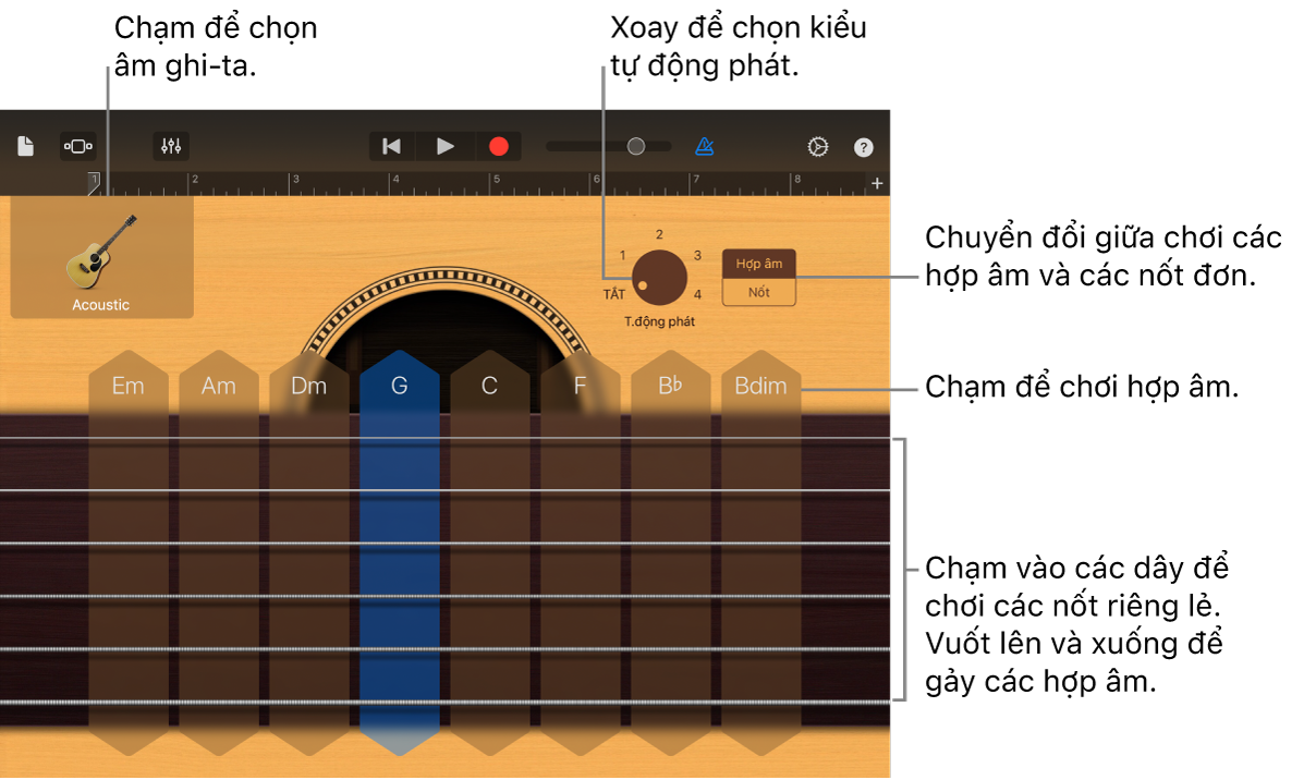 Nhạc cụ cảm ứng Ghi-ta