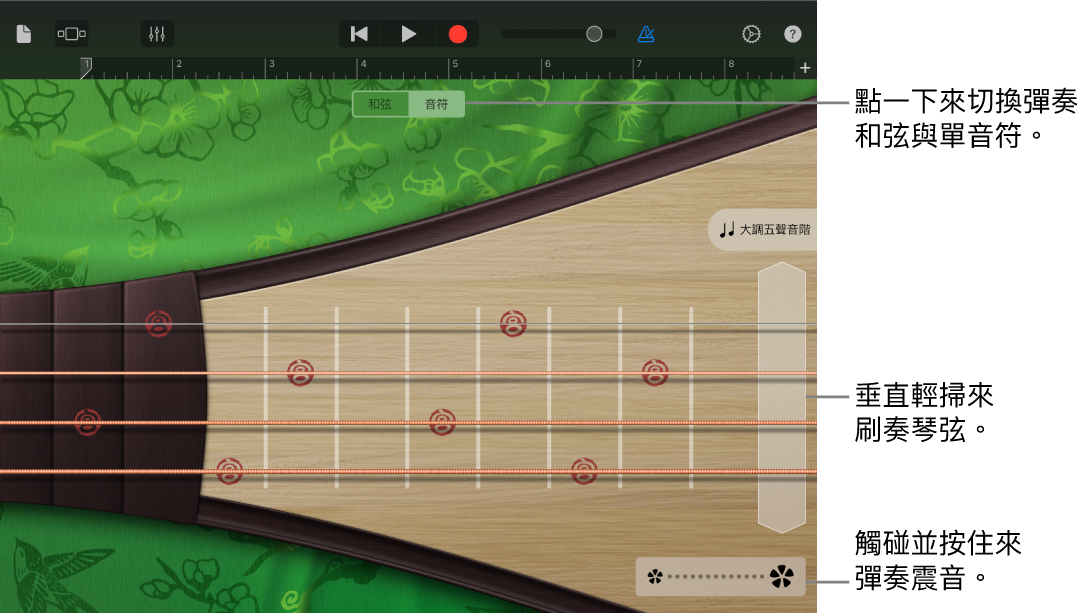 圖表。琵琶,「音符」顯示方式。