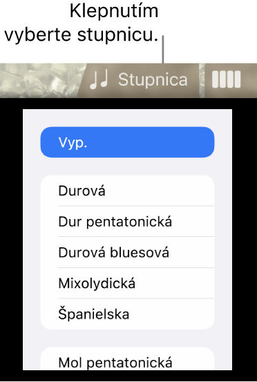 Tlačidlo Stupnica a zoznam Stupnice nástroja Basa