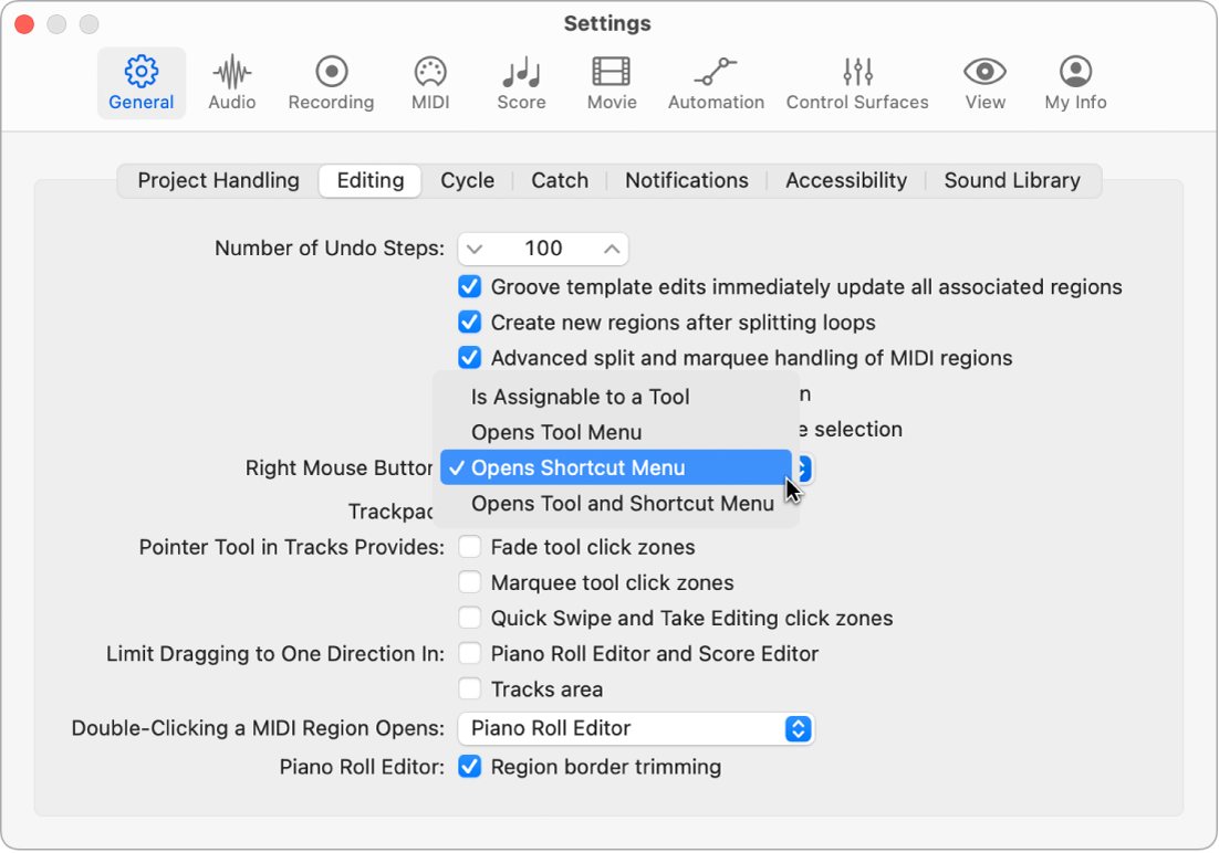 Figure. Right Mouse Button menu in the Editing pane in the General settings.