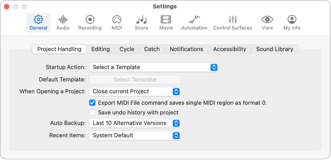Figure. General Project Handling settings.