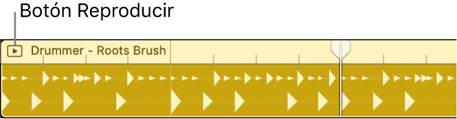 Ilustración. Pasaje de Session Player seleccionado en ese momento.