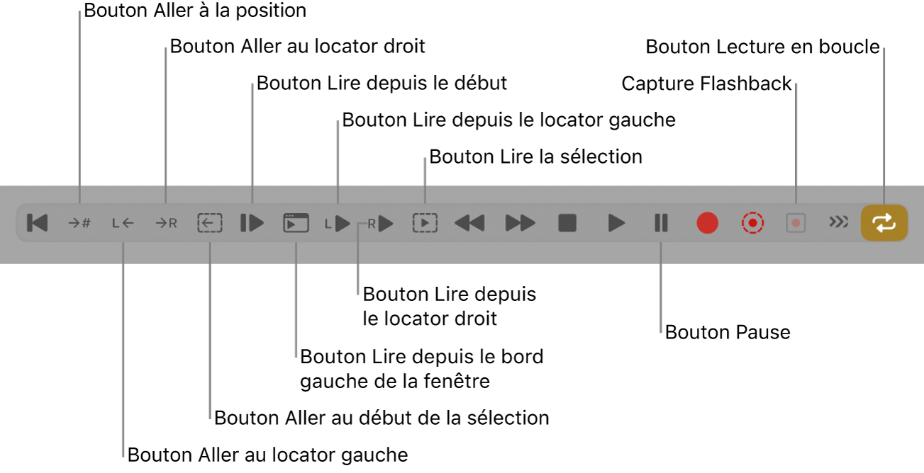Figure. Boutons de transport, avec tous les boutons supplémentaires.