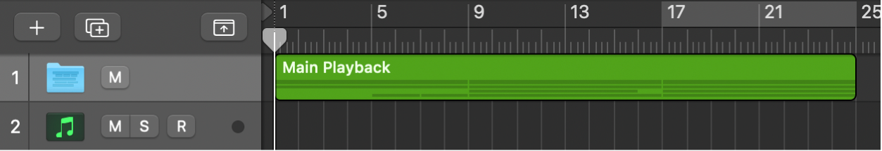 그림. 트랙 영역의 닫힌 폴더 트랙.