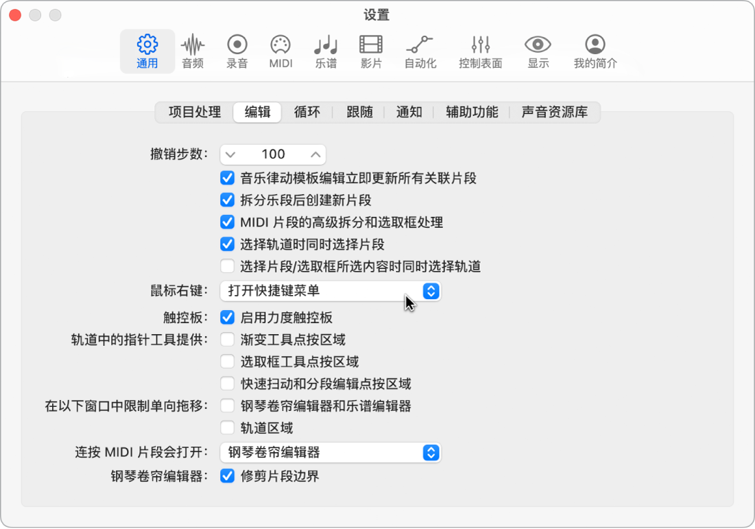 图。“通用”设置的“编辑”面板中的“指针工具”复选框。