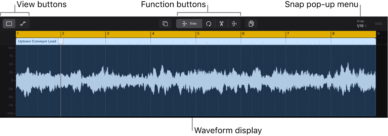 Figure. Audio Editor showing audio region with waveform.