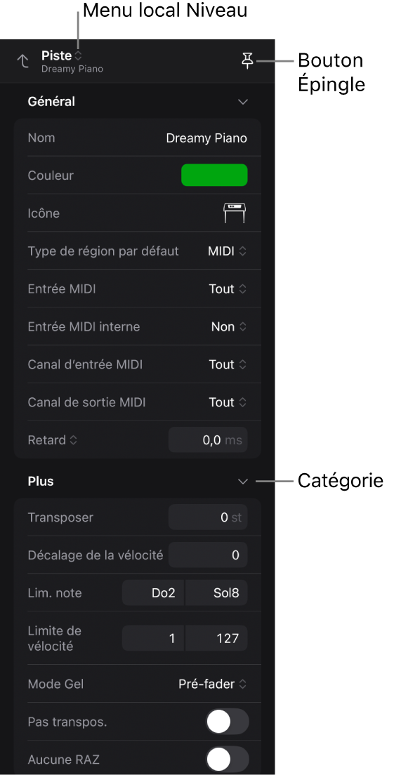 Figure. Inspecteur montrant les paramètres de piste, le menu local Niveau et le bouton Épingler.
