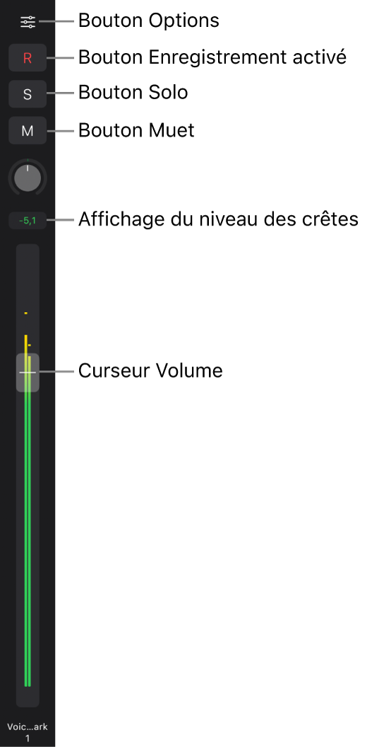 Figure. Curseur affichant les boutons Options, « Activer l’enregistrement », Solo et Muet, le potentiomètre Pan/Balance et un VU-mètre.