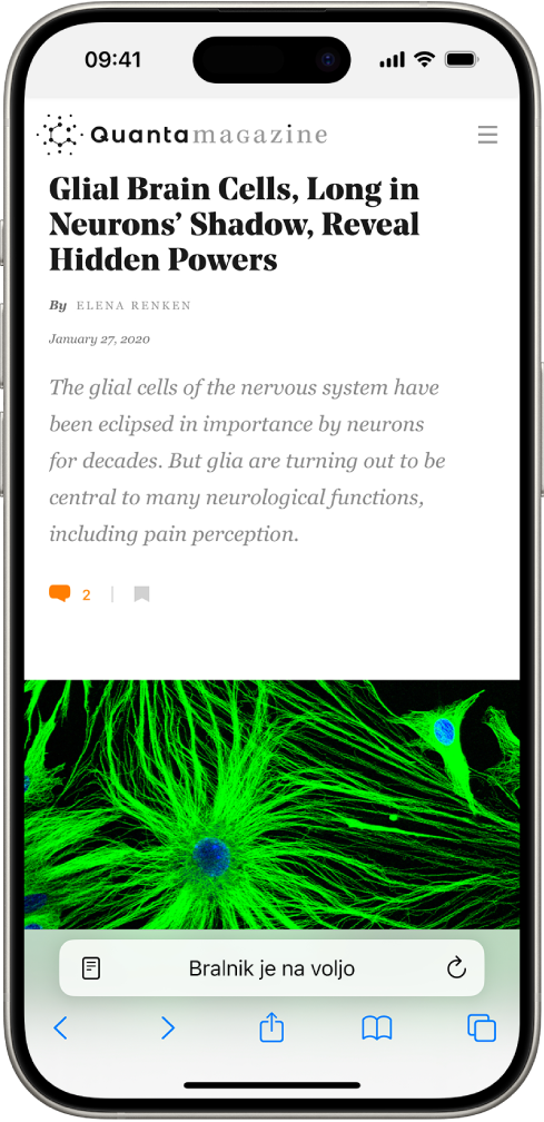 Spletno mesto, ki je odprto v aplikaciji Safari, v katerem je polje za naslov prikazano, da je za spletno mesto Bralnik na voljo.
