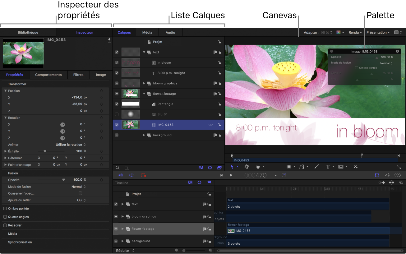 Interface de Motion affichant l’inspecteur des propriétés, la liste Calques, le canevas et la palette