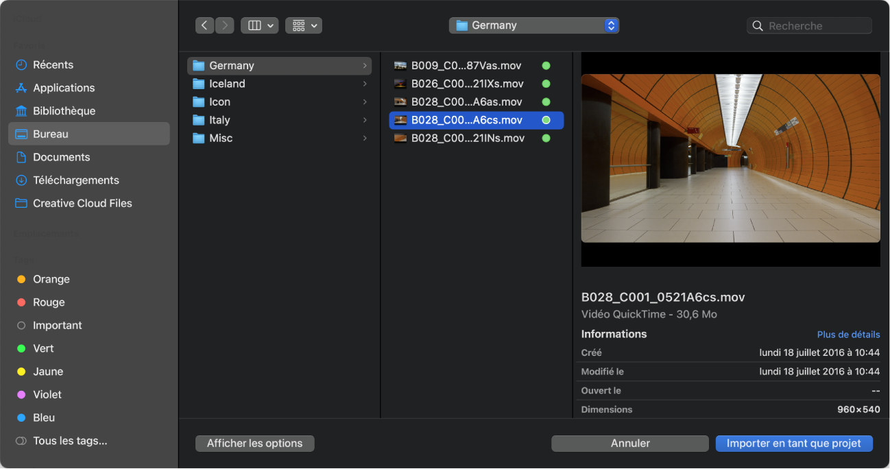 Zone de dialogue « Importer en tant que projet »