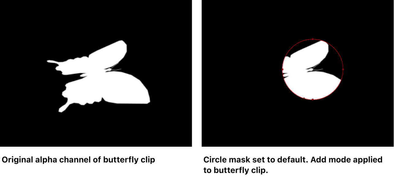 显示添加到 Alpha 通道的蒙版的画布