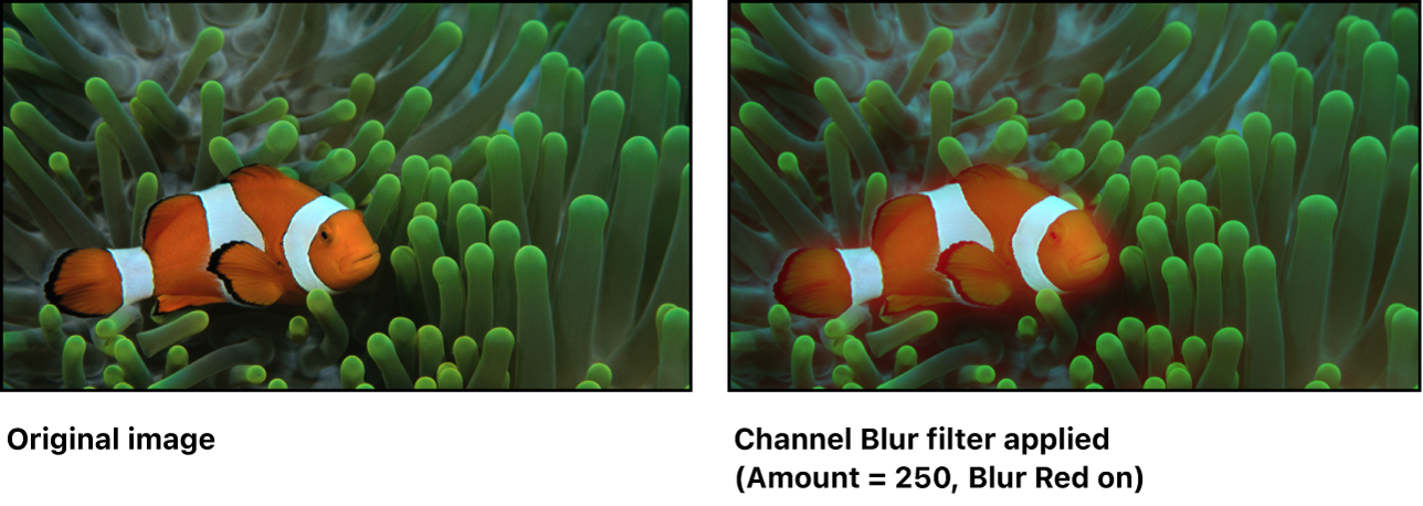 显示“通道模糊”滤镜效果的画布