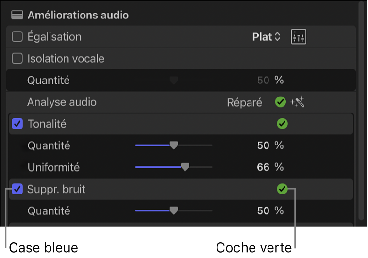 Section « Améliorations audio » de l’inspecteur audio affichant une coche bleue en regard de Tonalité et de « Suppression du bruit », et des coches vertes à côté de « Analyse audio », Tonalité et « Suppression du bruit ».