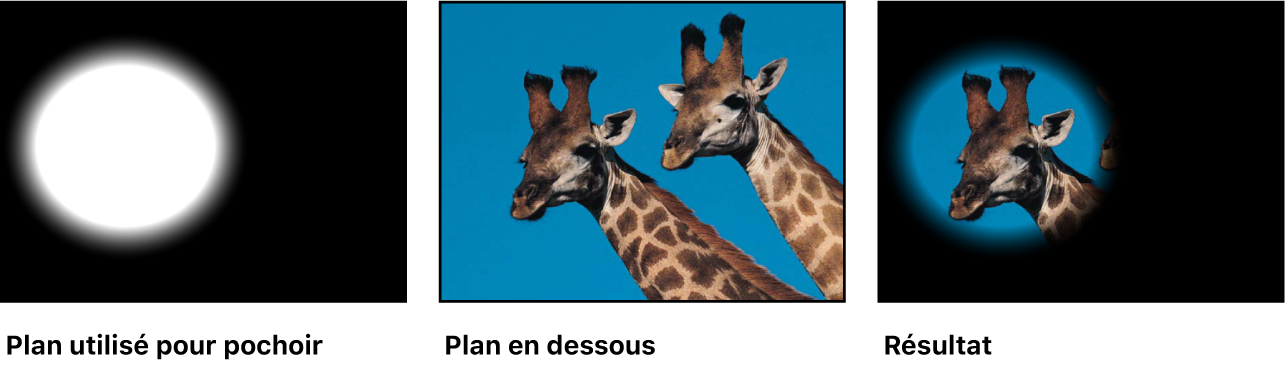 Un exemple du mode de fusion Stencil alpha, avec le plan du canal alpha utilisé pour le stencil, l’image en dessous et l’image fusionnée obtenue