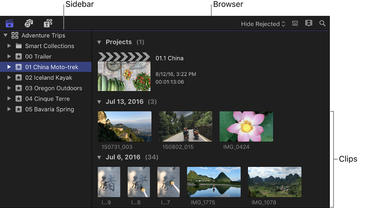 「ライブラリ」サイドバーとブラウザ