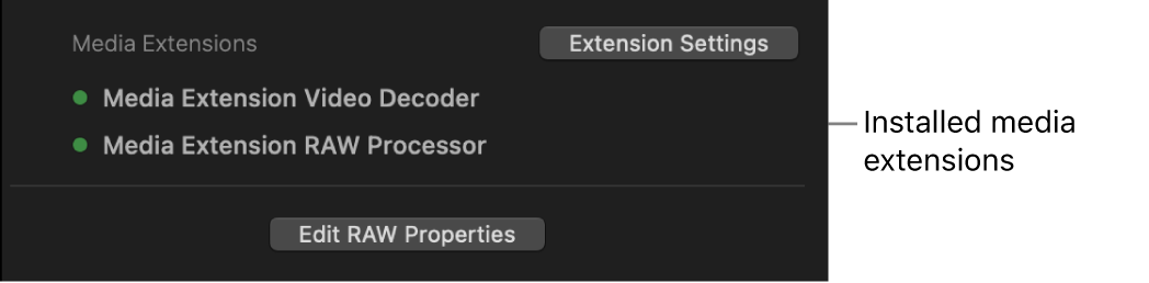 정보 인스펙터의 미디어 확장 프로그램 섹션에서 선택된 클립을 디코딩하는 데 사용 중인 미디어 확장 프로그램 옆에 초록색 점이 표시됨