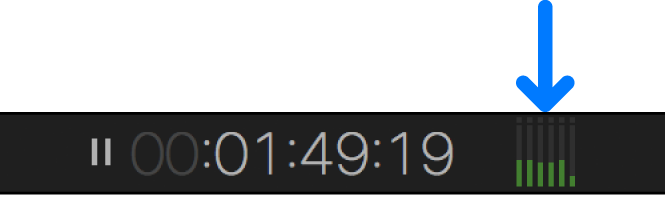 뷰어 아래의 오디오 미터 아이콘