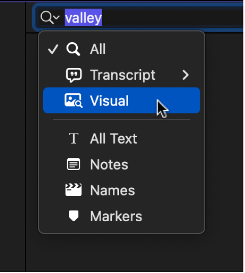 搜索栏弹出式菜单显示搜索类别:全部、听写文本、视觉、所有文本、注释、名称和标记