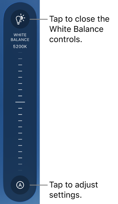 The White Balance dial, with an Auto button at the bottom.