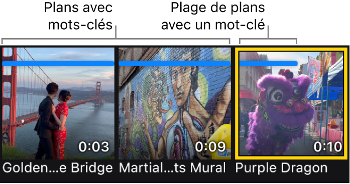 Vignettes dans le navigateur multimédia affichant des plans surmontés d’un trait horizontal bleu qui indique que ces plans sont associés à des mots-clés.