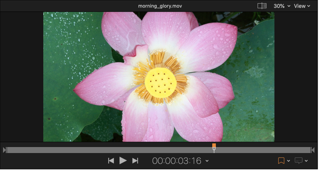 Compressor 的预览区域,显示添加至时间线的标记。