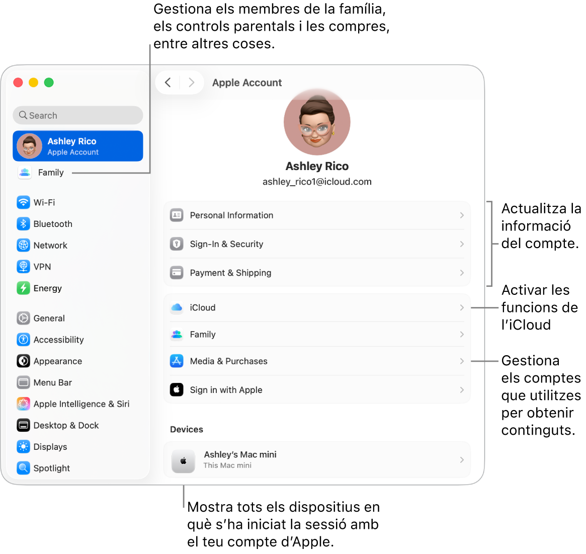 A la configuració del sistema, es veu la secció del compte d’Apple, amb opcions per actualitzar la informació del compte, activar o desactivar les funcions de l’iCloud o gestionar els comptes de contingut multimèdia, i la secció “En família”, amb opcions per configurar un grup familiar, establir controls parentals i administrar les compres, entre altres coses.