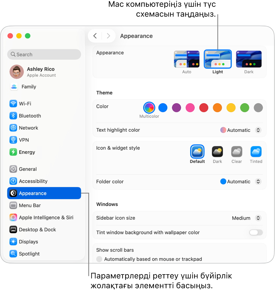 System Settings тармағындағы Appearance терезесі.