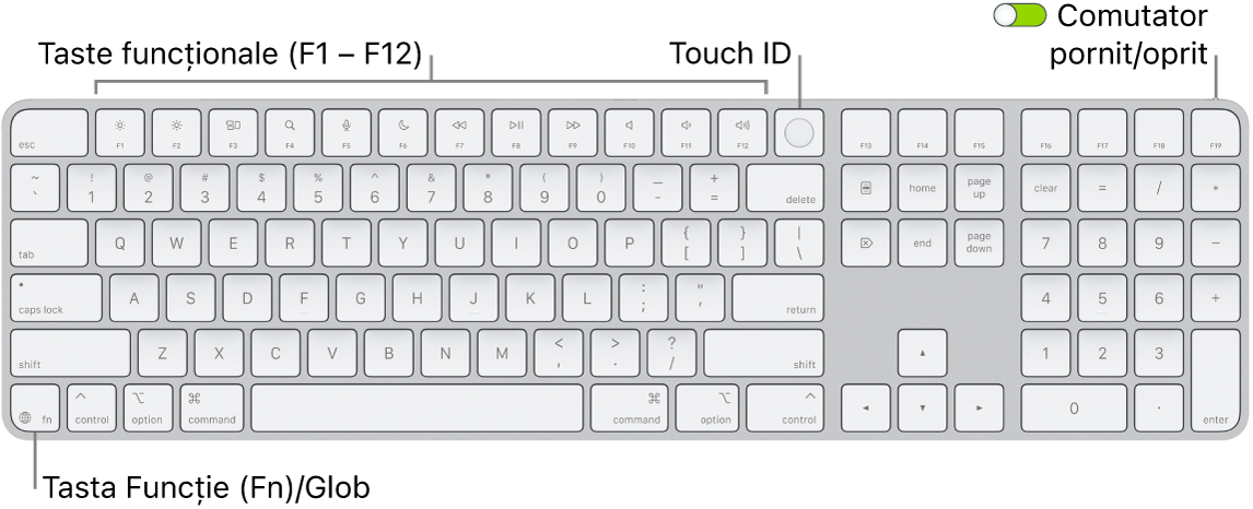 Tastatura Magic Keyboard cu Touch ID și tastatură numerică afișând rândul de taste funcționale și senzorul Touch ID în partea de sus, precum și tasta Funcție (Fn)/Glob la dreapta tastei Șterge.