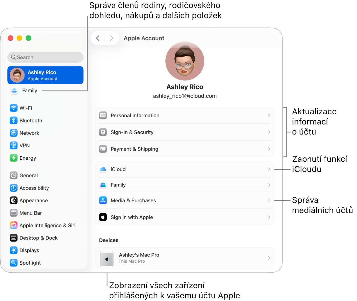 Volby účtu Apple v Nastavení systému s popisky u ovládacích prvků pro aktualizaci informací o účtu, zapnutí nebo vypnutí různých funkcí iCloudu a správu účtů pro média a u volby Rodina, která vám umožňuje spravovat členy rodiny, rodičovský dohled, nákupy a další položky.