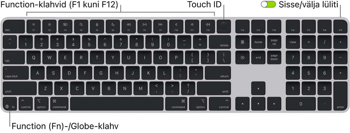 Touch ID-ga ja numbriklahvistikuga Magic Keyboard, mille ülaosas on funktsiooniklahvide rida ja Touch ID ning all vasakul klahv Function (Fn)/Globe.