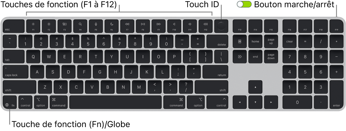 Le Magic Keyboard avec Touch ID et pavé numérique affichant le rang des touches de fonction et le capteur Touch ID en haut, ainsi que la touche Fonction (Fn)/Globe en bas à gauche.