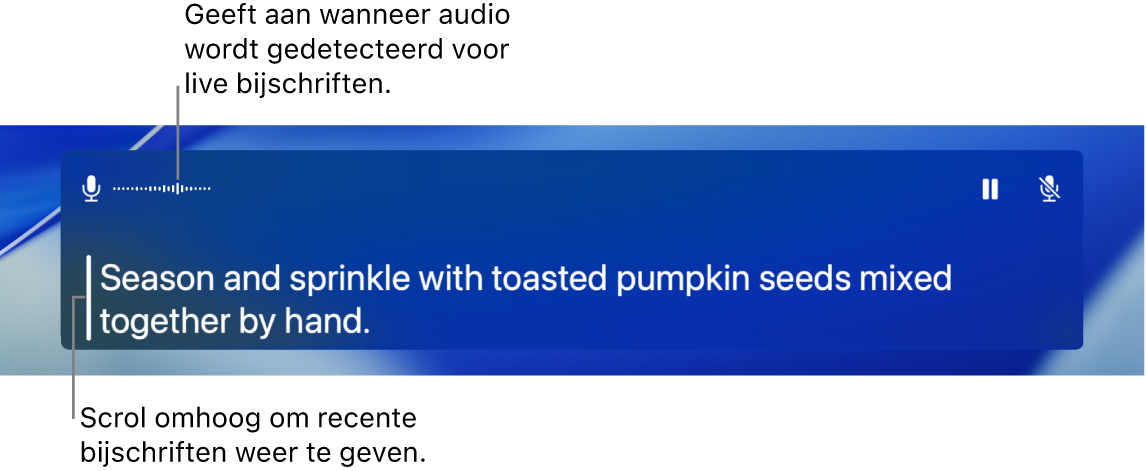 Bijschriften voor audio in real time.