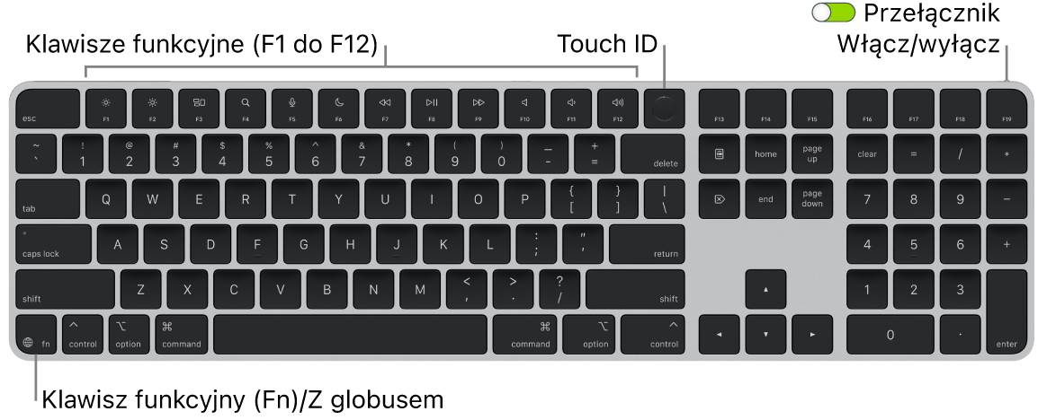 Klawiatura Magic Keyboard z Touch ID oraz klawiaturą numeryczną. Na górze znajduje się rząd klawiszy funkcyjnych oraz czytnik Touch ID, natomiast w lewym dolnym rogu widoczny jest klawisz funkcji (Fn)/klawisz globu.
